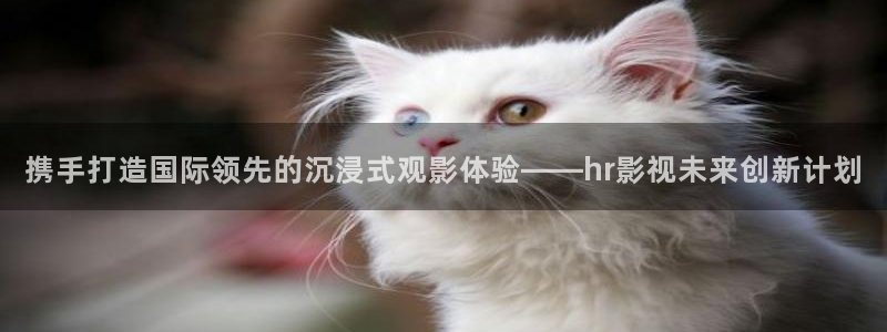 麻豆在线播放观看