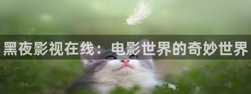 久久麻豆三级电影